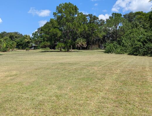 Widespread Lawn Services