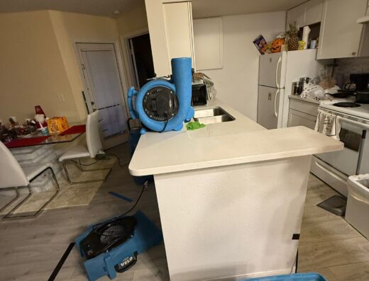 Varela Restoration LLC